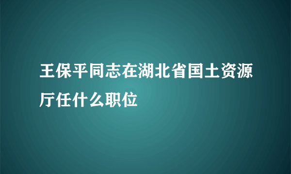 王保平同志在湖北省国土资源厅任什么职位