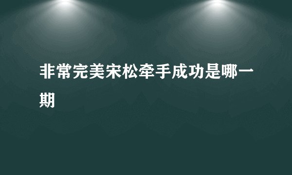 非常完美宋松牵手成功是哪一期