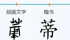 蒂和帝怎么组词