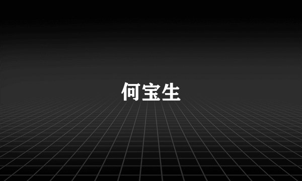 何宝生