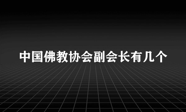 中国佛教协会副会长有几个