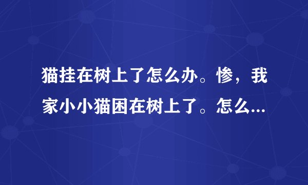 猫挂在树上了怎么办。惨，我家小小猫困在树上了。怎么办呢？119，没人管。唉。快一天了，怎么办呢