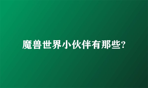 魔兽世界小伙伴有那些?