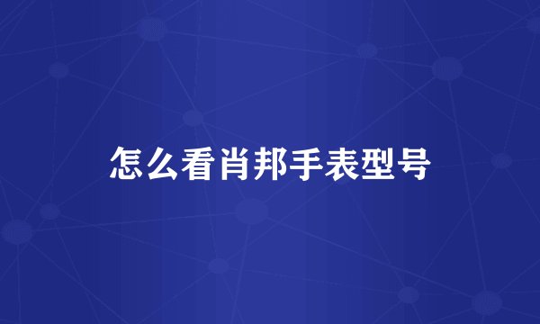 怎么看肖邦手表型号