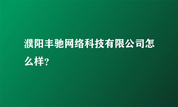 濮阳丰驰网络科技有限公司怎么样?