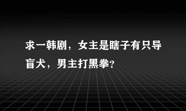求一韩剧，女主是瞎子有只导盲犬，男主打黑拳？