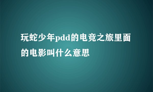 玩蛇少年pdd的电竞之旅里面的电影叫什么意思