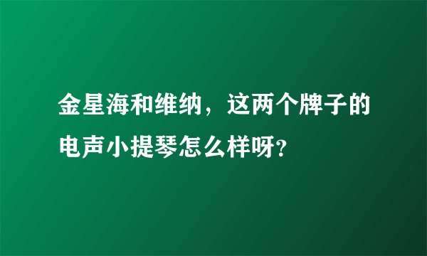 金星海和维纳,这两个牌子的电声小提琴怎么样呀?
