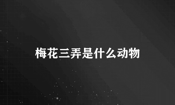 梅花三弄是什么动物