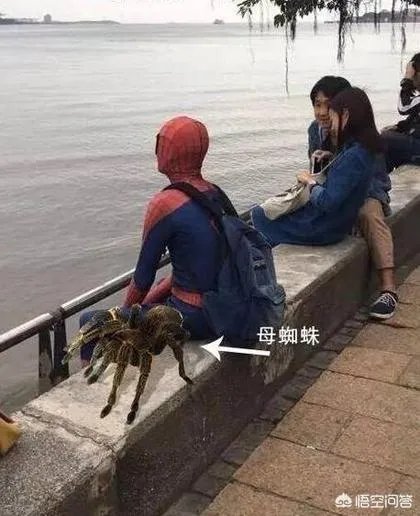 你见过最有趣的P图是怎样的，举例说明下？