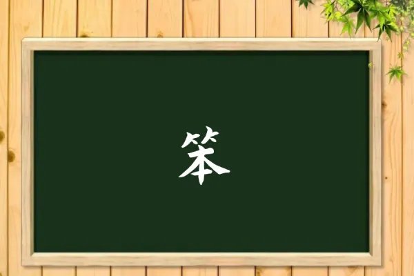 笨的拼音组词
