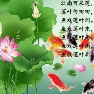 《汉乐府江南》全诗是什么?
