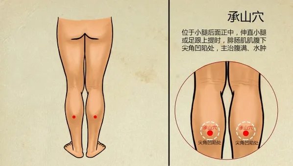 相关推荐