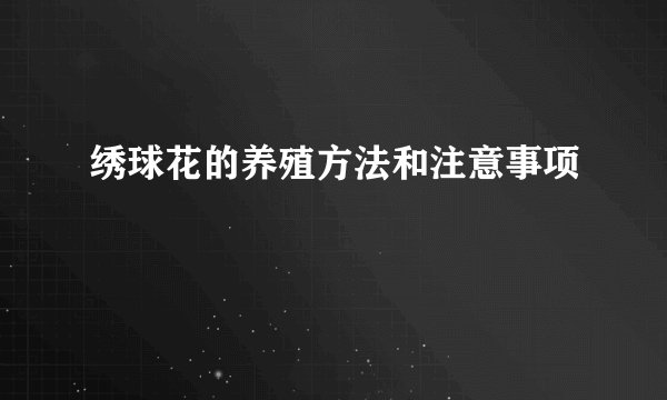 绣球花的养殖方法和注意事项
