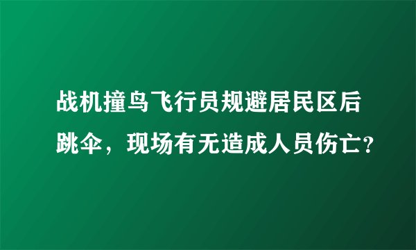 战机撞鸟飞行员规避居民区后跳伞,现场有无造成人员伤亡?