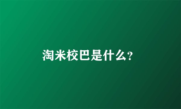 淘米校巴是什么?