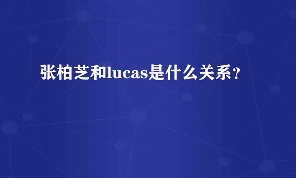 张柏芝和lucas是什么关系？