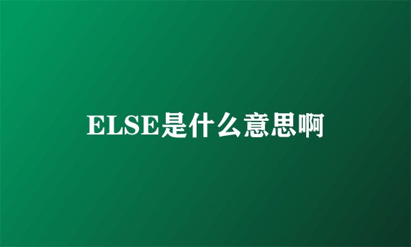 ELSE是什么意思啊