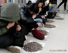 你在课堂上(正在上课)偷吃过什么东西?被发现没?