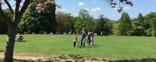 老公的春天大结局