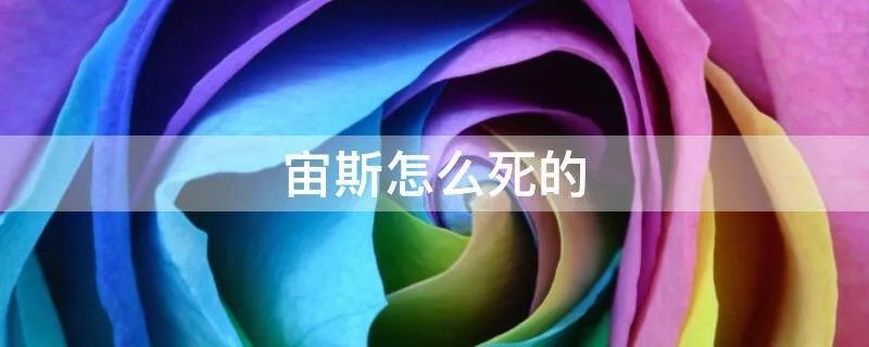 宙斯怎么死的