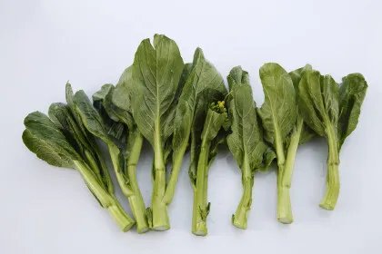 春菜与芥菜的区别