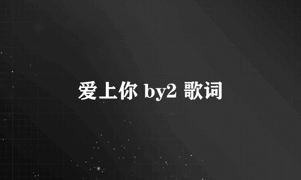 爱上你 by2 歌词
