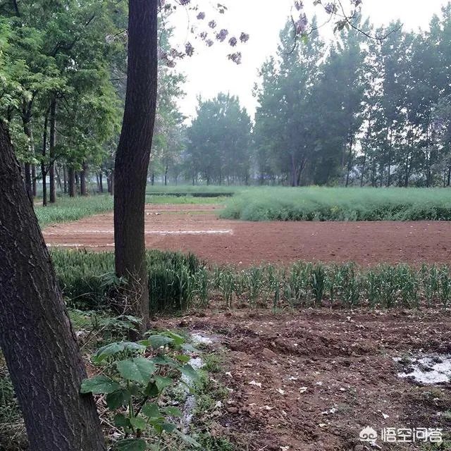 韩寒发长文说自己退学是很失败的事,你曾经有没有特别不想上学的时刻?