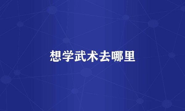 想学武术去哪里
