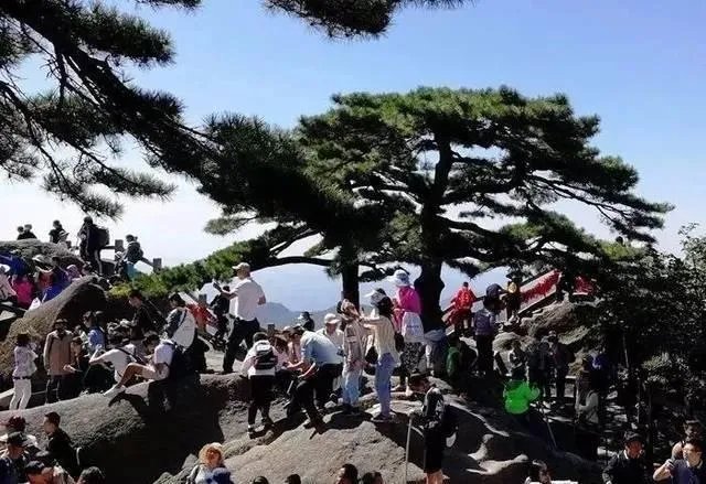 就黄山景区游客爆满,你怎么看?