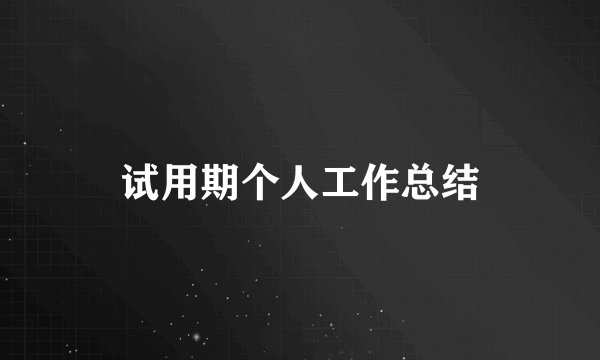 试用期个人工作总结