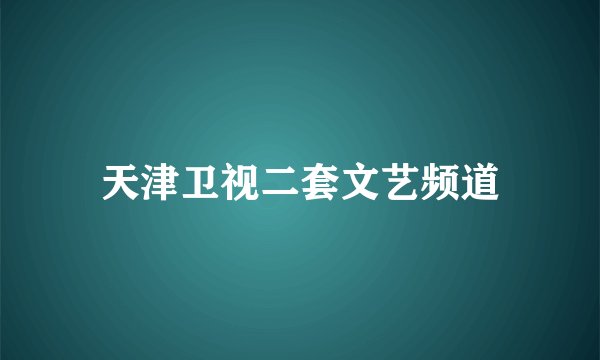 天津卫视二套文艺频道
