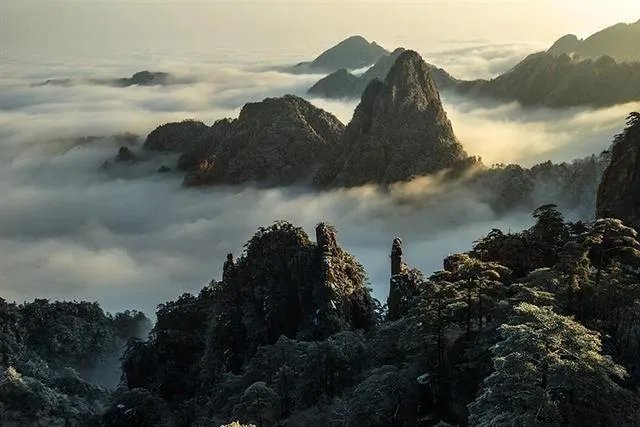 就黄山景区游客爆满,你怎么看?