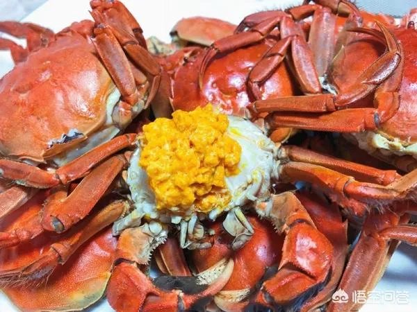 大闸蟹蒸多久如何把握最佳时间?