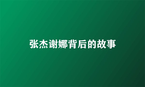 张杰谢娜背后的故事