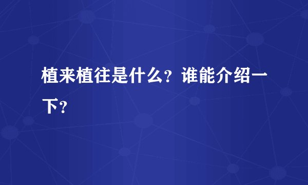 植来植往是什么?谁能介绍一下?