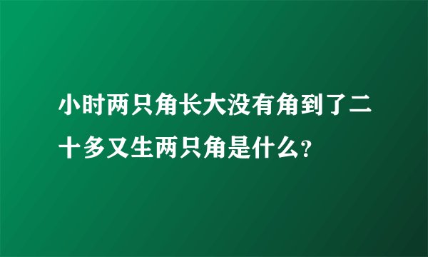 小时两只角长大没有角到了二十多又生两只角是什么?