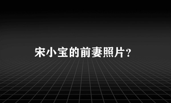 宋小宝的前妻照片？