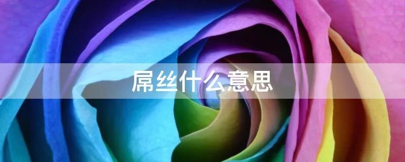 屌丝什么意思