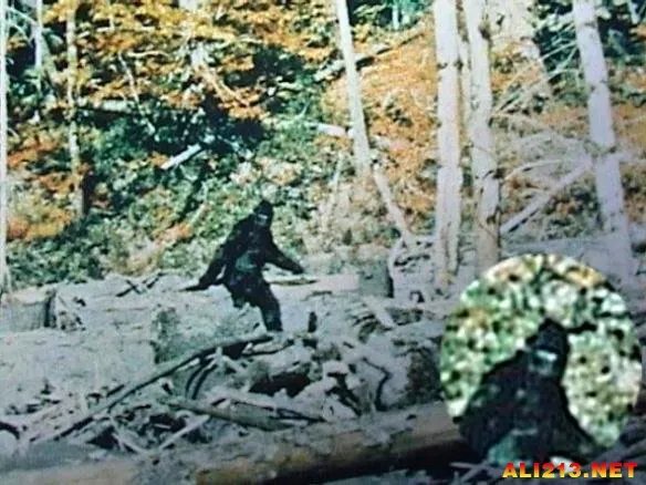 外星人来访幽灵重现?十大最不可思议的超自然现象