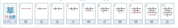 莘怎么读，什么意思？