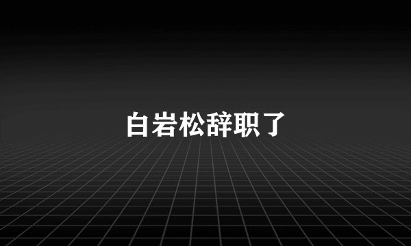 白岩松辞职了