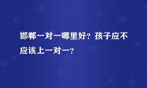 邯郸一对一哪里好?孩子应不应该上一对一?
