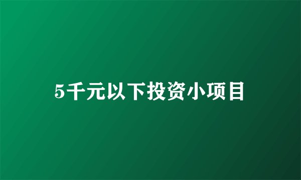 5千元以下投资小项目