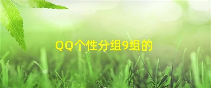 QQ个性分组9组的