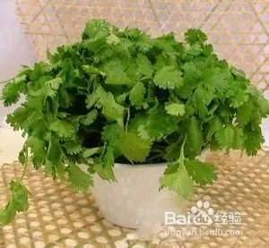 感光食物有哪些?