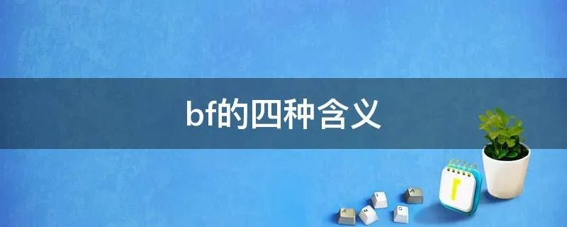 bf的四种含义