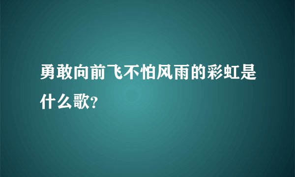 勇敢向前飞不怕风雨的彩虹是什么歌？