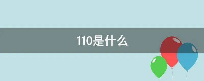 110是什么