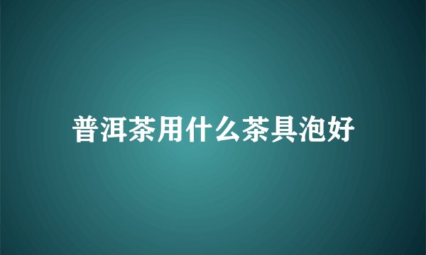 普洱茶用什么茶具泡好